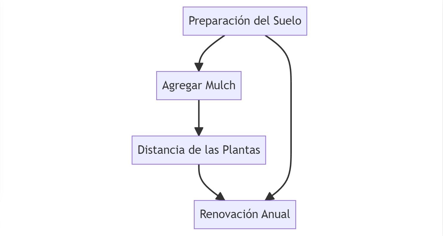 Diagrama de cómo aplicar el mulch